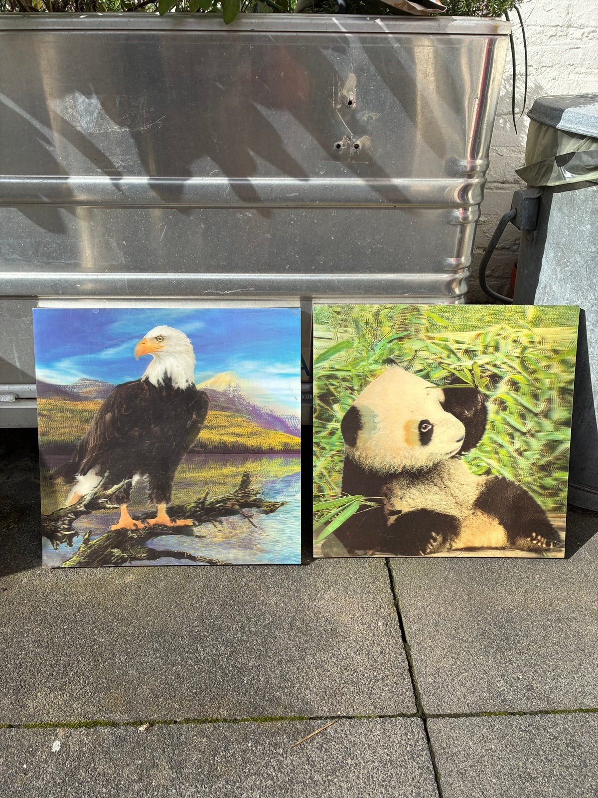Set van 2 wanddecoraties: Adelaar en Panda, Minder dan 50 cm, Gebruikt, Ophalen of Verzenden, Print