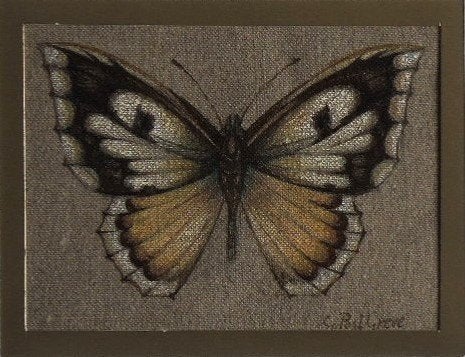 Gerard Post Greve aquarel op jute "Vlinder", gesigneerd, Ophalen, Minder dan 50 cm, Zo goed als nieuw, Minder dan 50 cm