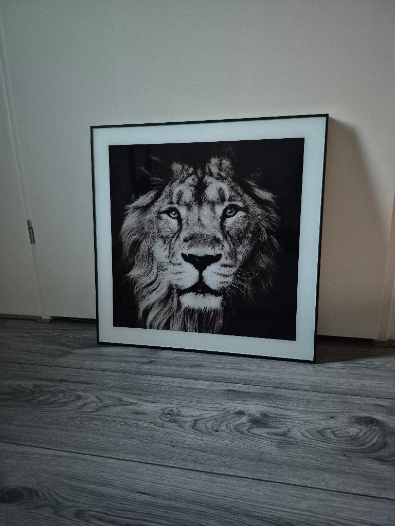 Schilderij, Ophalen, Glas, Overige technieken, Dieren