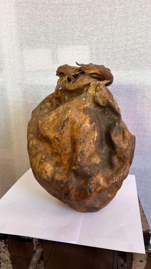 Grote gedroogde varkensblaas (blaasvaas), Antiek en Kunst, Ophalen of Verzenden
