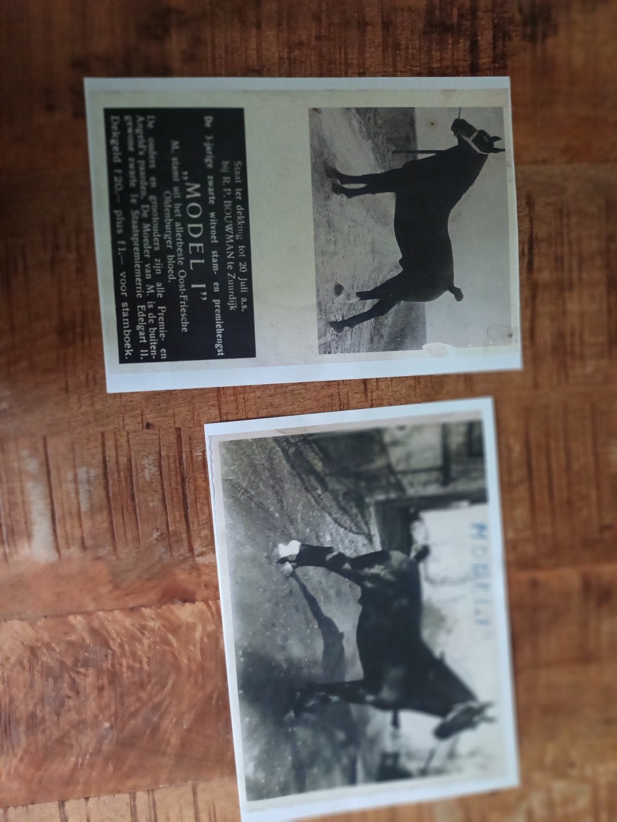 Oude foto's en prenten van paarden, diverse modellen, Ophalen