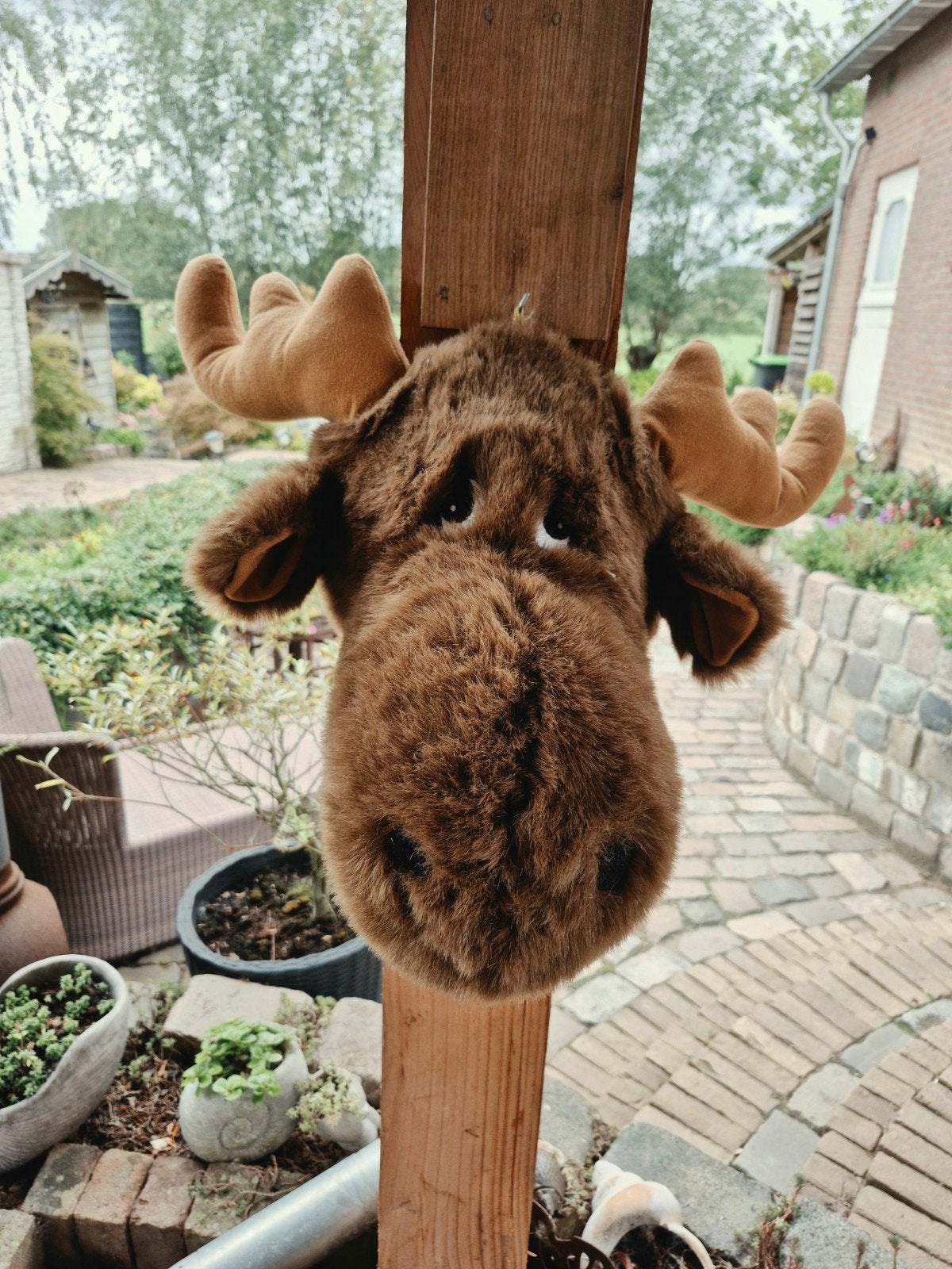 grote grappige eland pluche, Ophalen of Verzenden, Nieuw