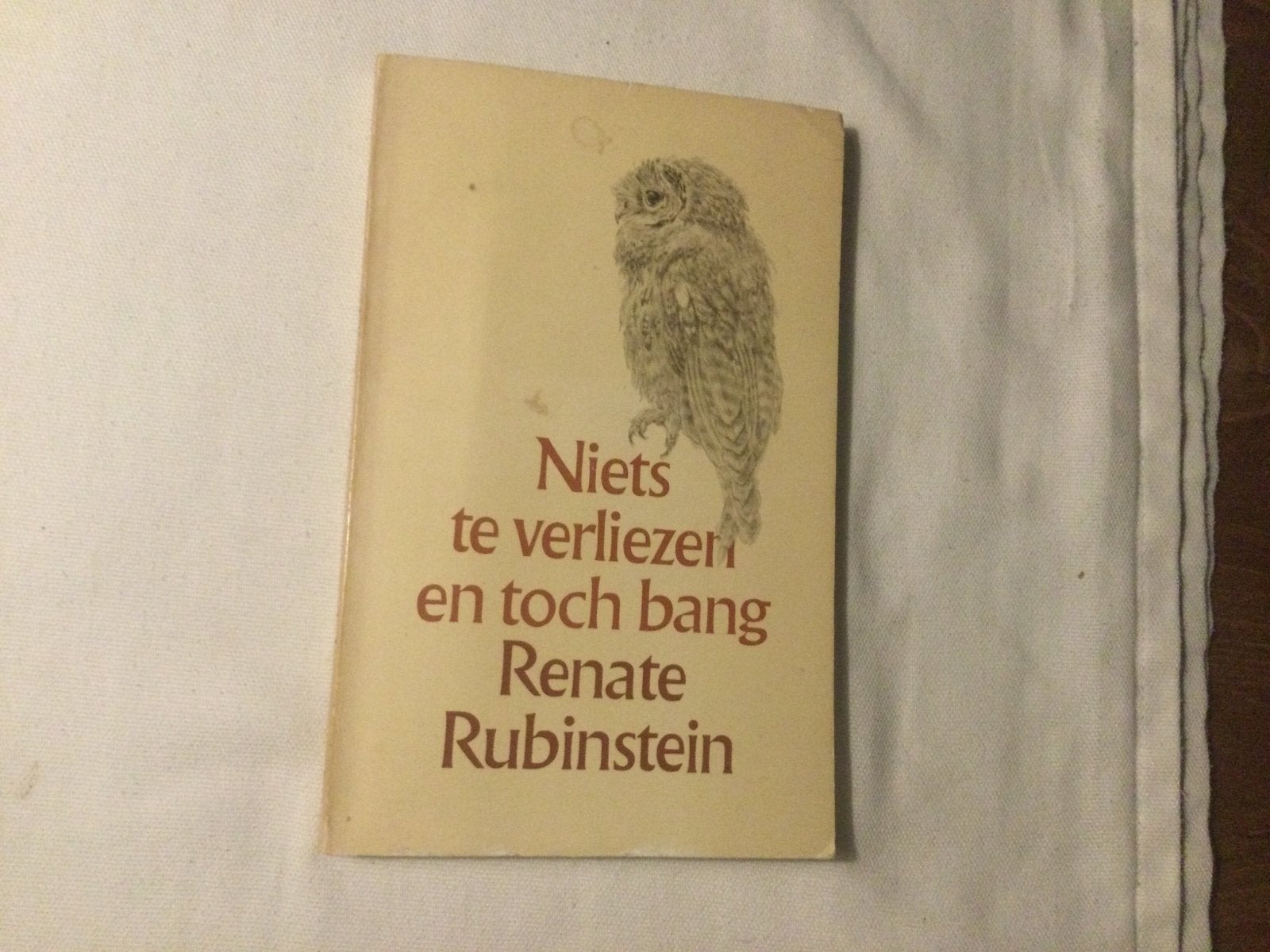Renate Rubinstein, Niets te verliezen en toch bang…, Ophalen of Verzenden, Gelezen, Nederland