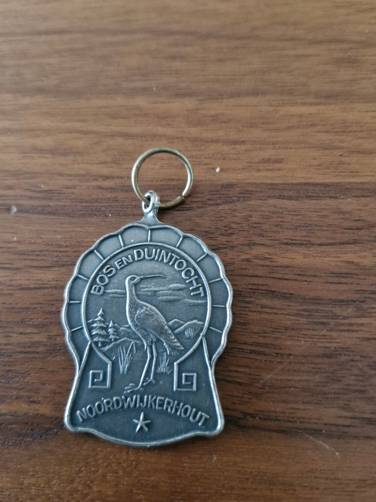 053 Bos en Duintocht Noordwijkerhout Medaille, Verzamelen, Ophalen of Verzenden