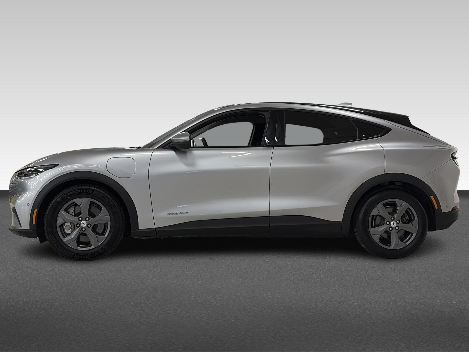 Ford Mustang Mach-E RWD 75 kWh | SoH 92%, Automaat, Gebruikt, 750 kg, 258 pk