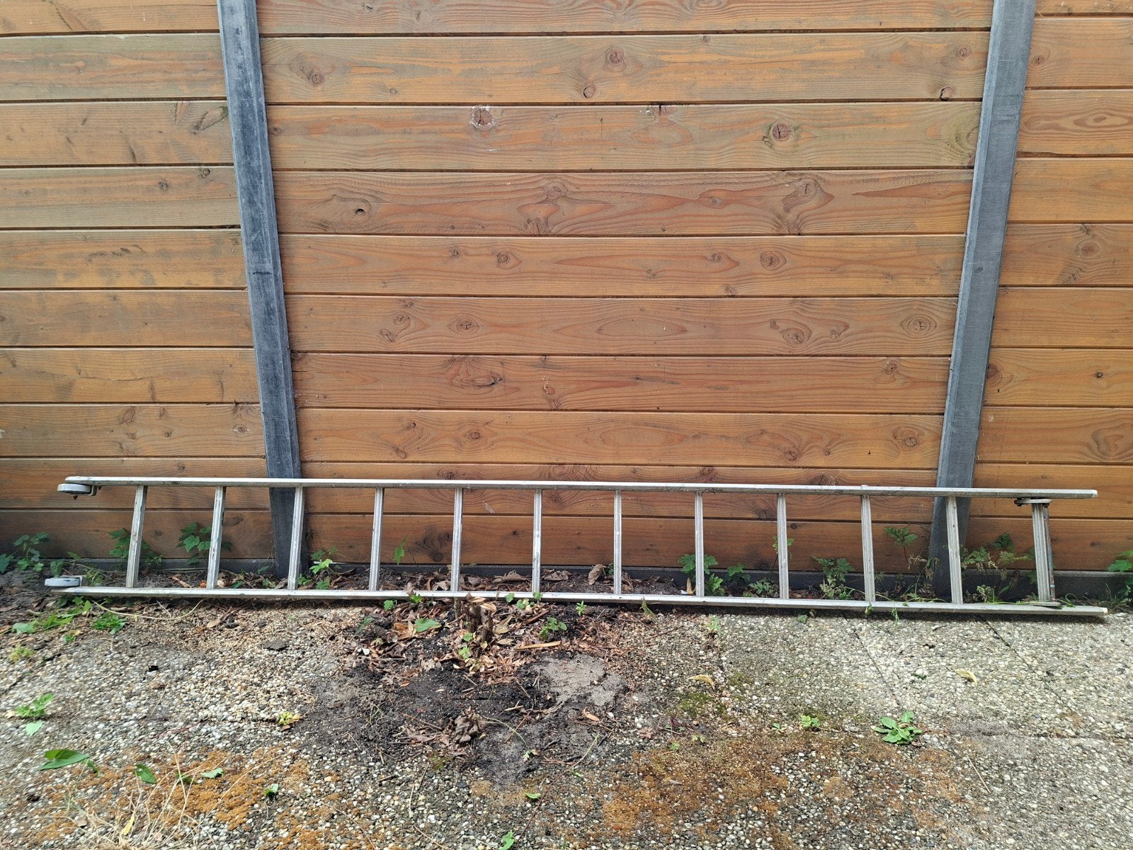 ladder, Doe-het-zelf en Verbouw, Ladders en Trappen, Ophalen, Gebruikt, Ladder, 2 tot 4 meter