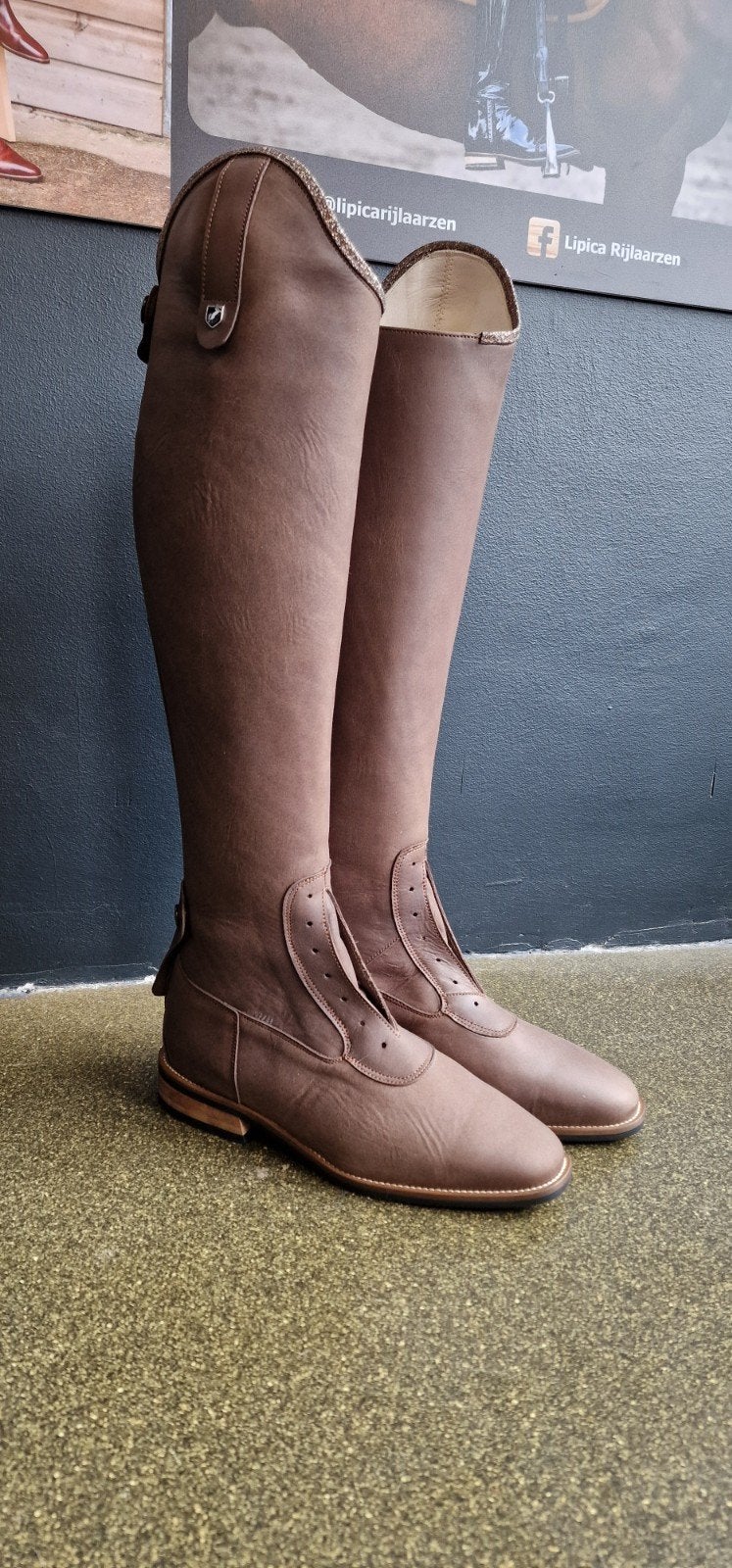 Maidstone arizona nut maat 40, Dressuur, Nieuw, Kinderen, Ophalen of Verzenden