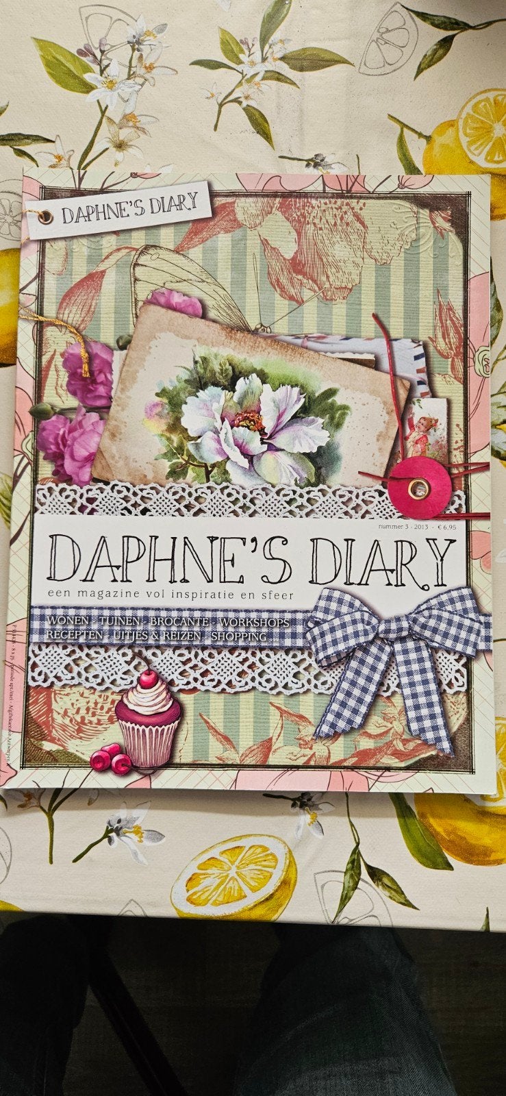 Daphne's Diary, Flow en Liefde voor Brocante, Ophalen of Verzenden, Zo goed als nieuw, Glossy