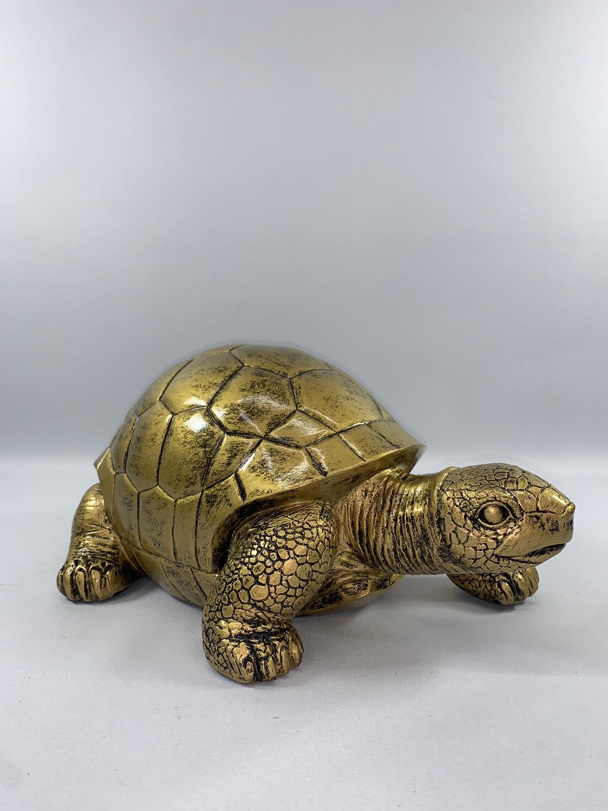 Schildpad - Decoratie - Shabella-deco, Shabella, Nieuw, Ophalen of Verzenden, Goud