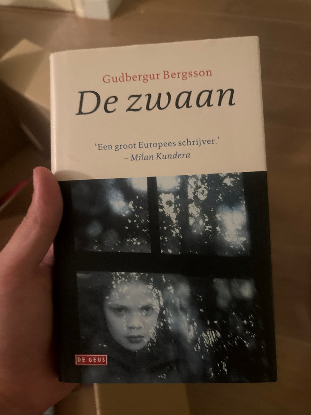 De Zwaan - Gudbergur Bergsson (Roman), Boeken, Ophalen of Verzenden, Zo goed als nieuw, Europa overig