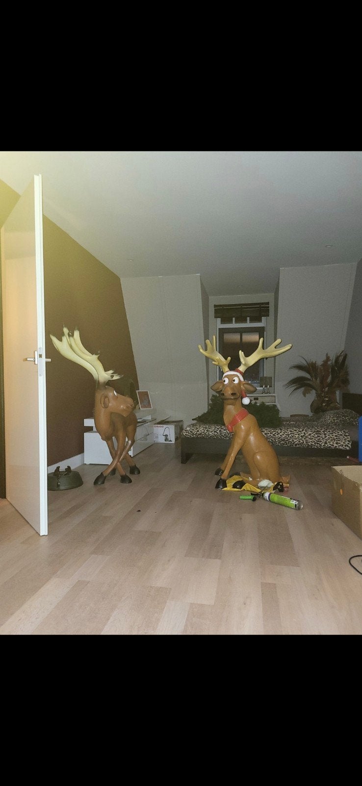 2 rendieren groot, Ophalen
