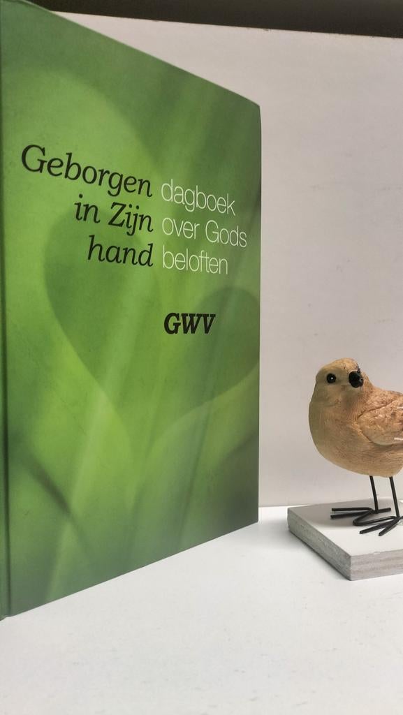 GWV; Geborgen in Zijn hand (dagboek over Gods beloften), Boeken, Ophalen of Verzenden, Gelezen, Christendom | Protestants