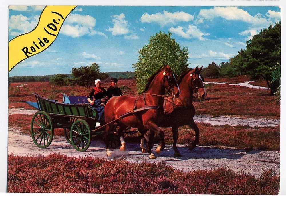 Rolde Drenthe - klederdracht paard en wagen heide 1977, Ophalen of Verzenden, 1960 tot 1980, Ongelopen, Klederdracht