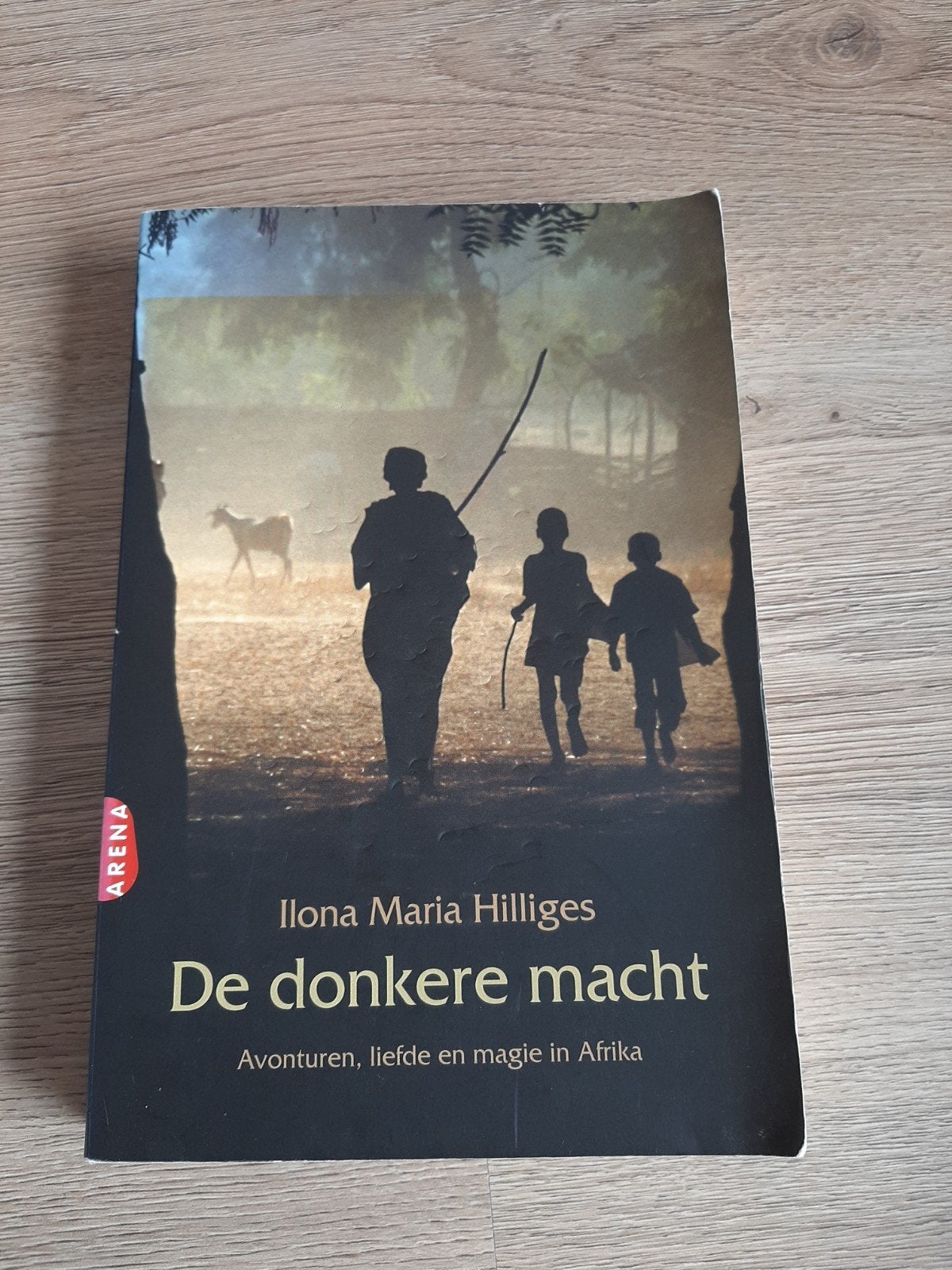 De donkere macht - Ilona Maria Hilliges, Ophalen of Verzenden, Gelezen, Ilona Maria Hilliges