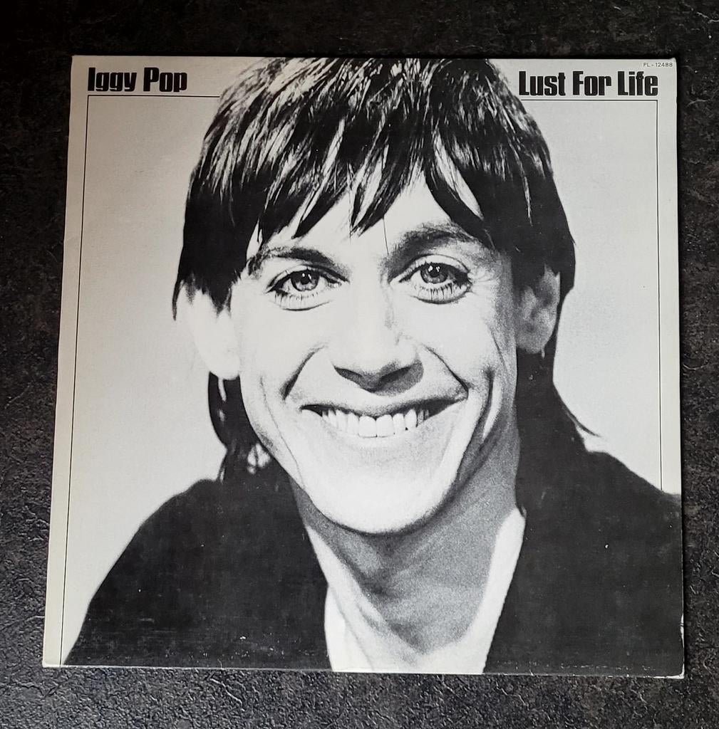 Iggy Pop, Cd's en Dvd's, Vinyl | Rock, Gebruikt, Poprock, 12 inch, Ophalen of Verzenden