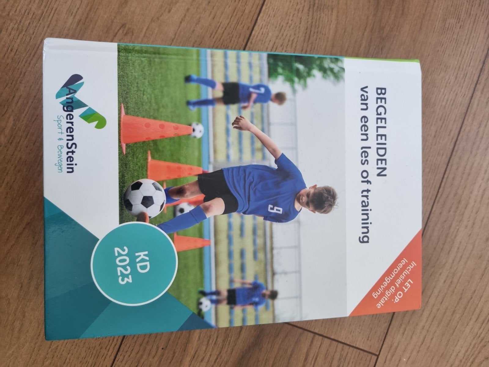 Begeleiden van een les of training - Angerenstein, Ophalen of Verzenden, Gelezen, MBO, Boom beroepsonderwijs