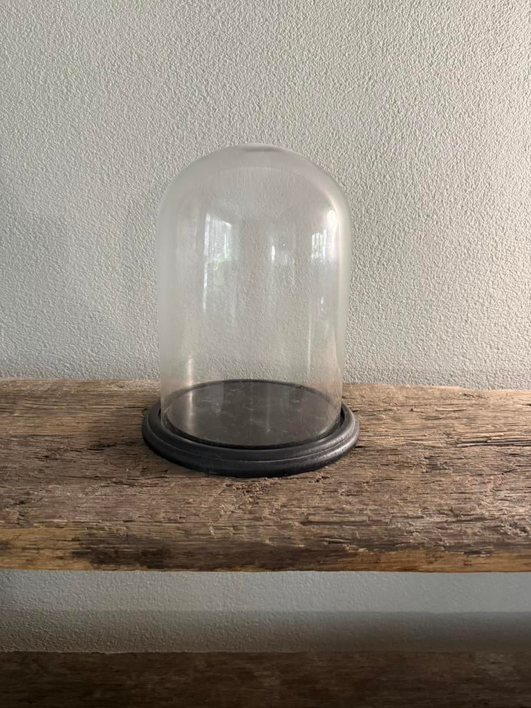 Glazen stolp met onder plateau, Ophalen, Gebruikt