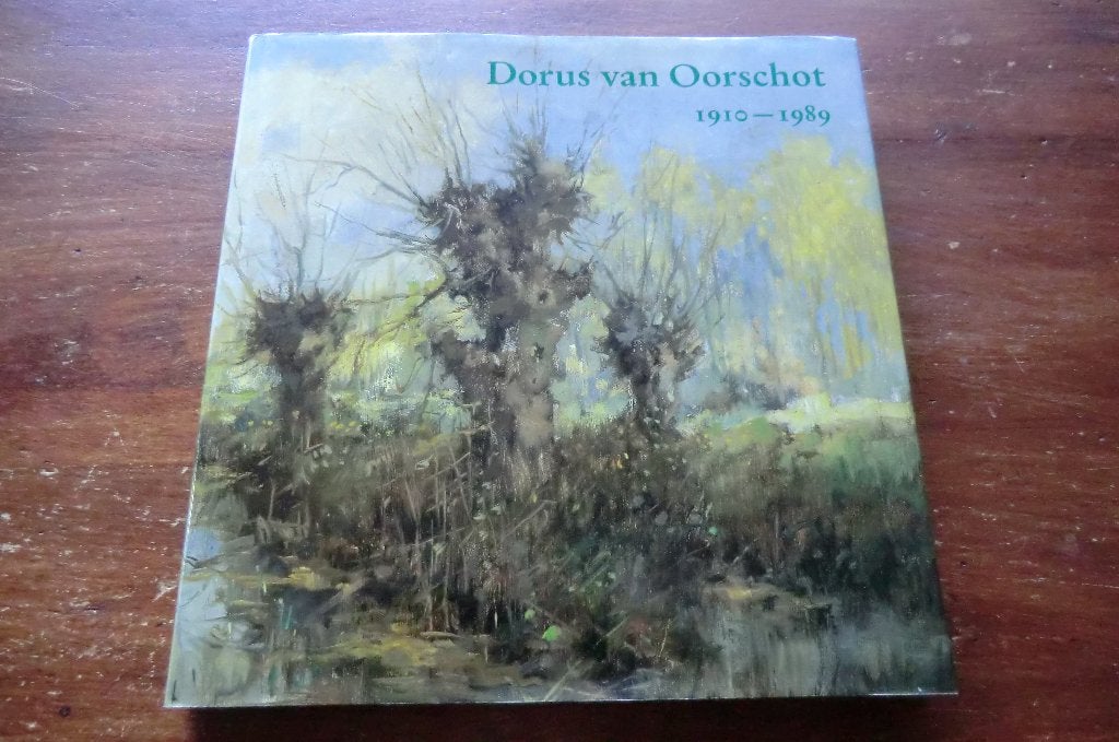 schildersboek - Dorus van Oorschot 1910-1989 / Schijndel, Ophalen of Verzenden, Gelezen, Schilder- en Tekenkunst