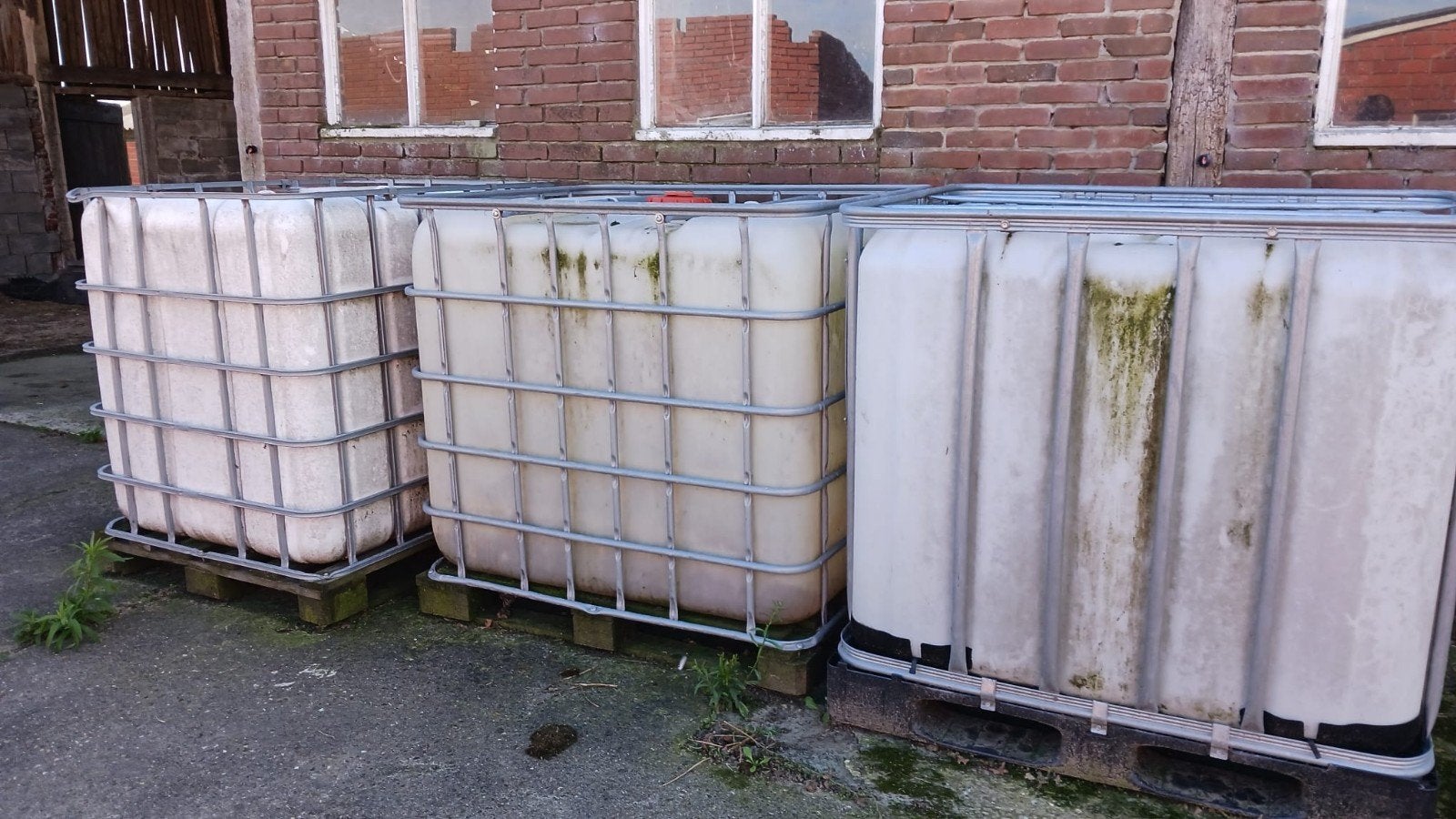 IBC containers , 3 stuks., Ophalen, Kunststof, Gebruikt, Met kraantje