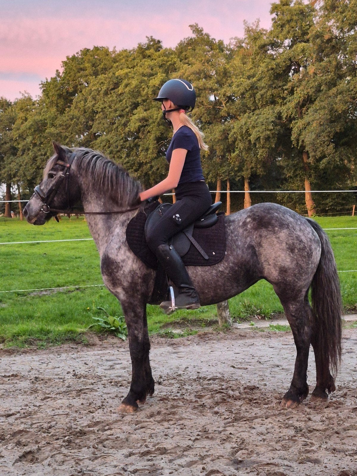 Leuke c pony, Zadelmak, C pony (1.27m tot 1.37m), 7 tot 10 jaar, Recreatiepony