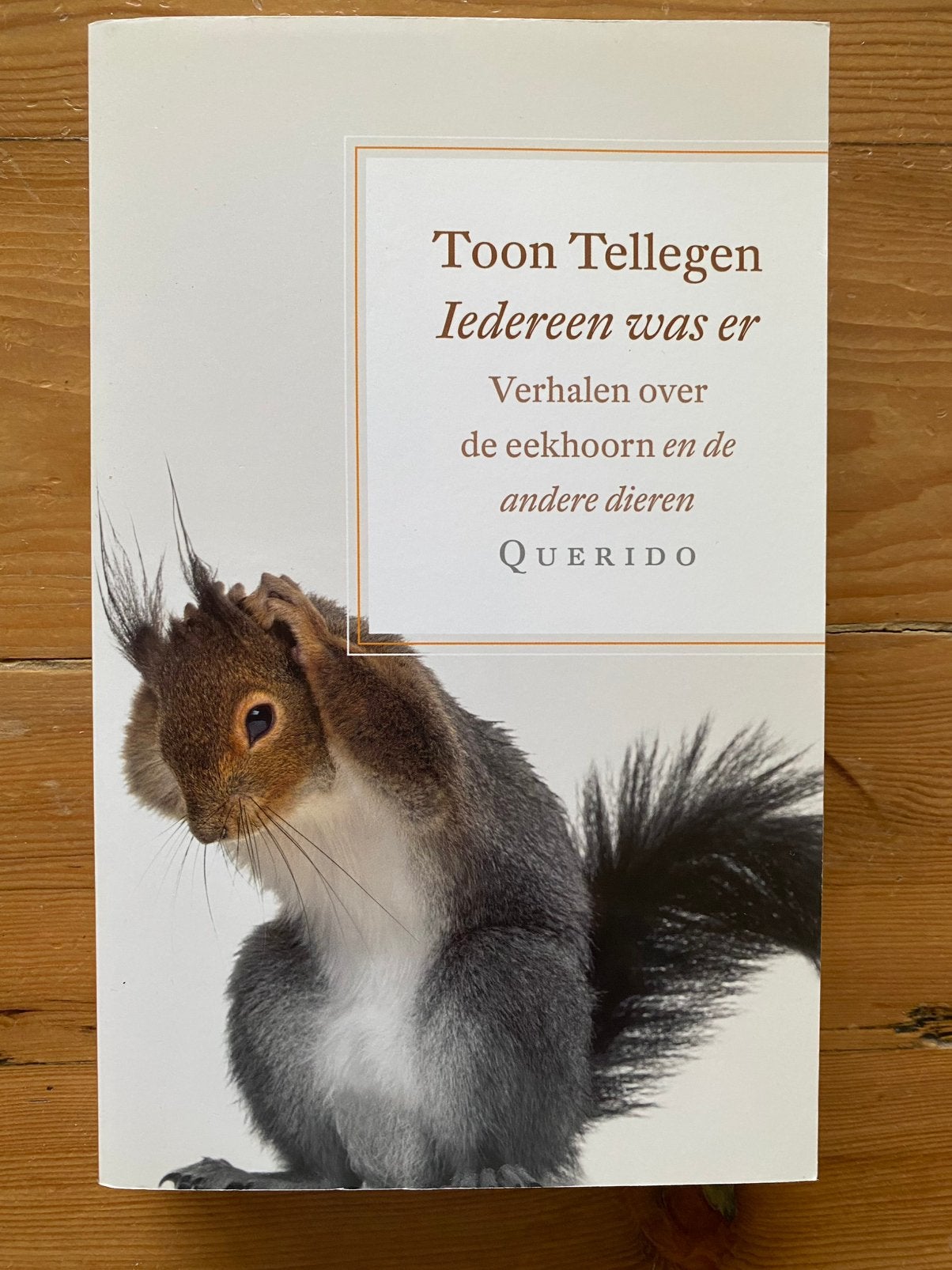 Iedereen was er - Toon Tellegen, Boeken, Overige Boeken, Ophalen of Verzenden, Gelezen