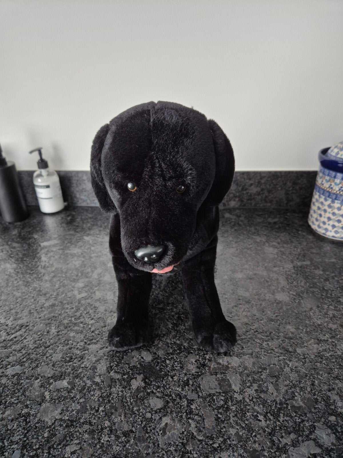 Pro Plan - Knuffel Labrador zwart, Ophalen of Verzenden, Overige typen