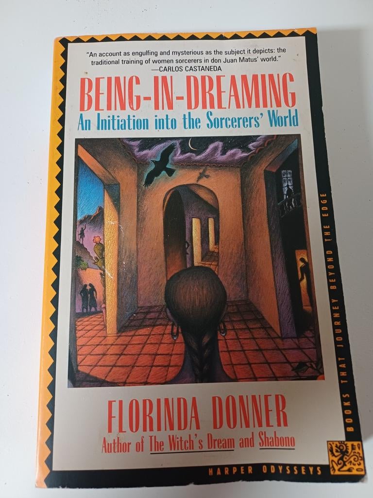 Boek: Being-in-Dreaming - Florinda Donner, Ophalen of Verzenden