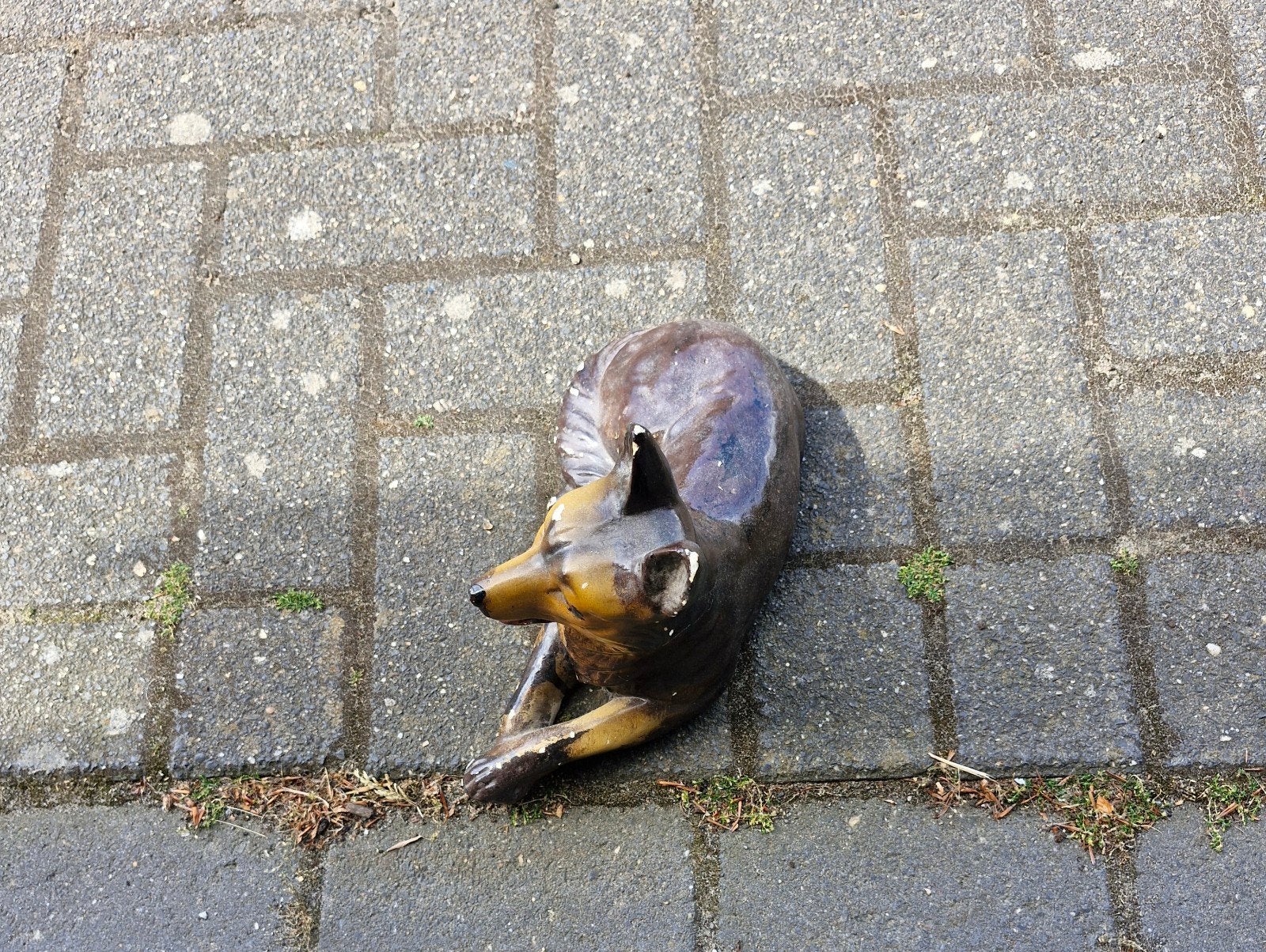 Antieke hond ( herder ), Ophalen