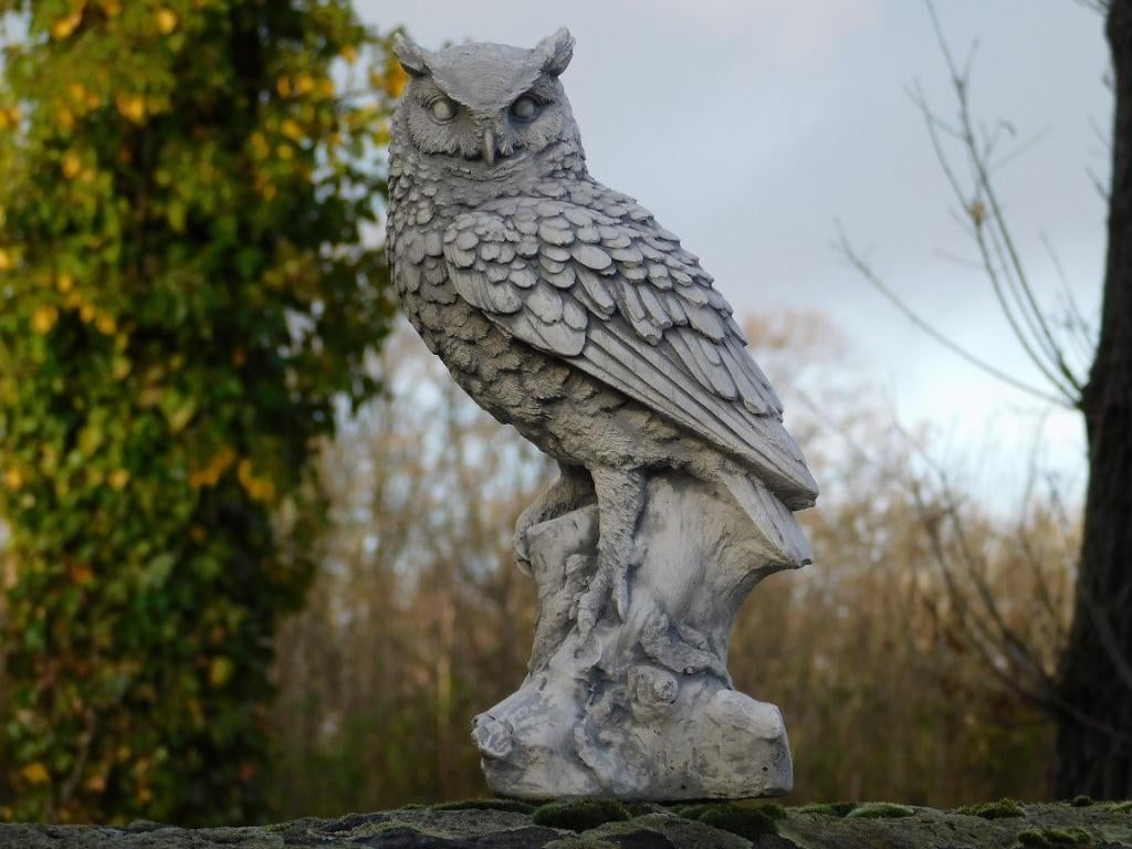 Beeld Uil op Boomstronk - Volledig Steen - Gedetailleerd, Dierenbeeld, Steen, ., Nieuw