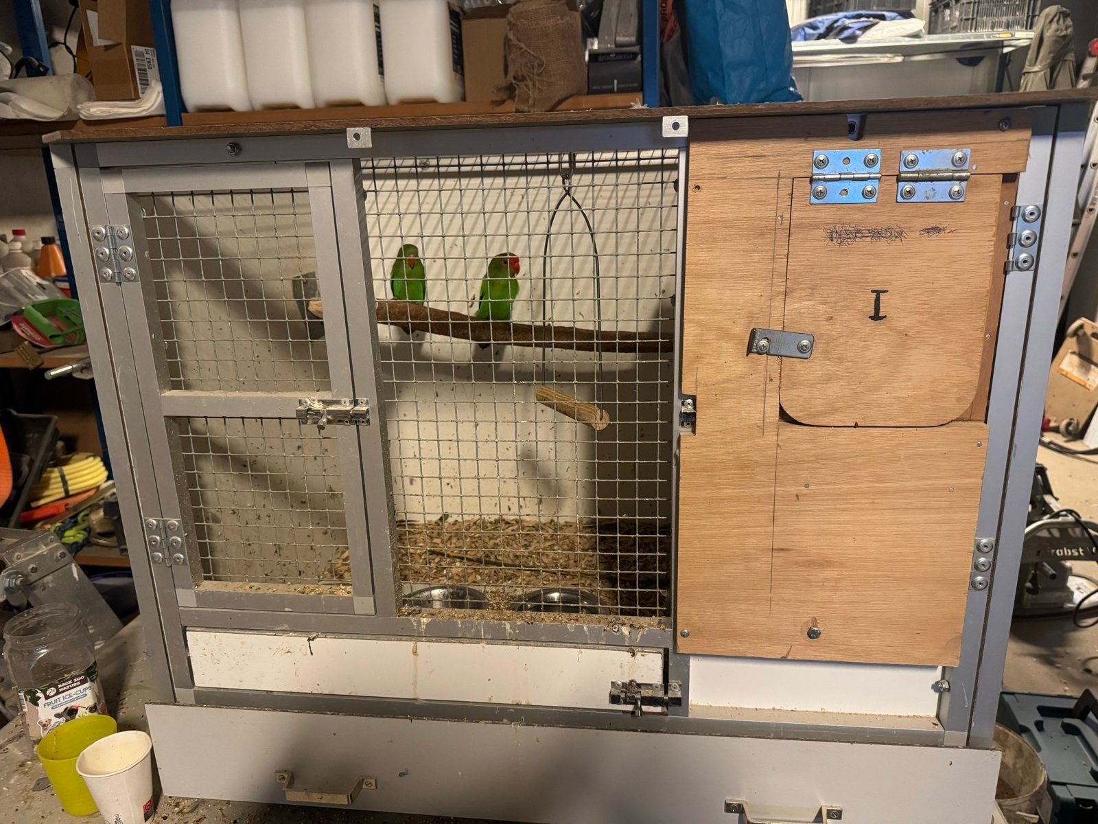 Koppel taranta met jong en kweekkooi, Ophalen of Verzenden