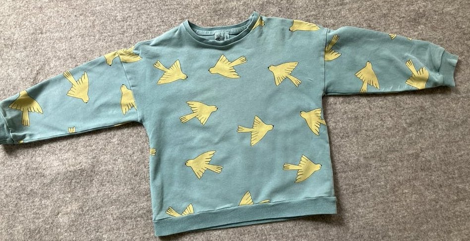 Lötiekids sweater met vogeltjesprint (4-5 jaar), Verzenden, Gebruikt, Jongen of Meisje
