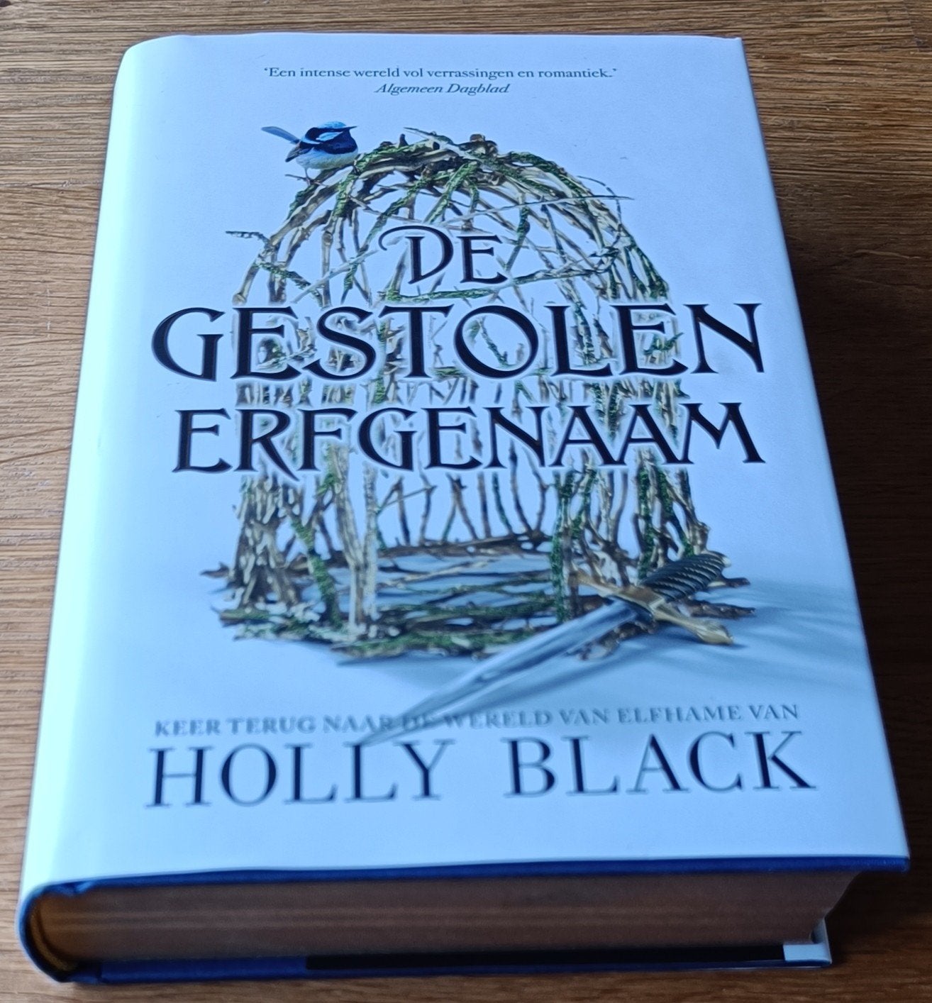 De Gestolen Erfgenaam - Holly Black (Zo goed als nieuw), Boeken, Ophalen of Verzenden, Zo goed als nieuw, Holly Black