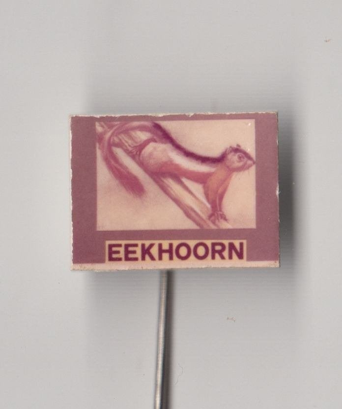 Dier Eekhoorn speldje, Gebruikt, Niet vindbaar, Niet vindbaar, Speldje of Pin
