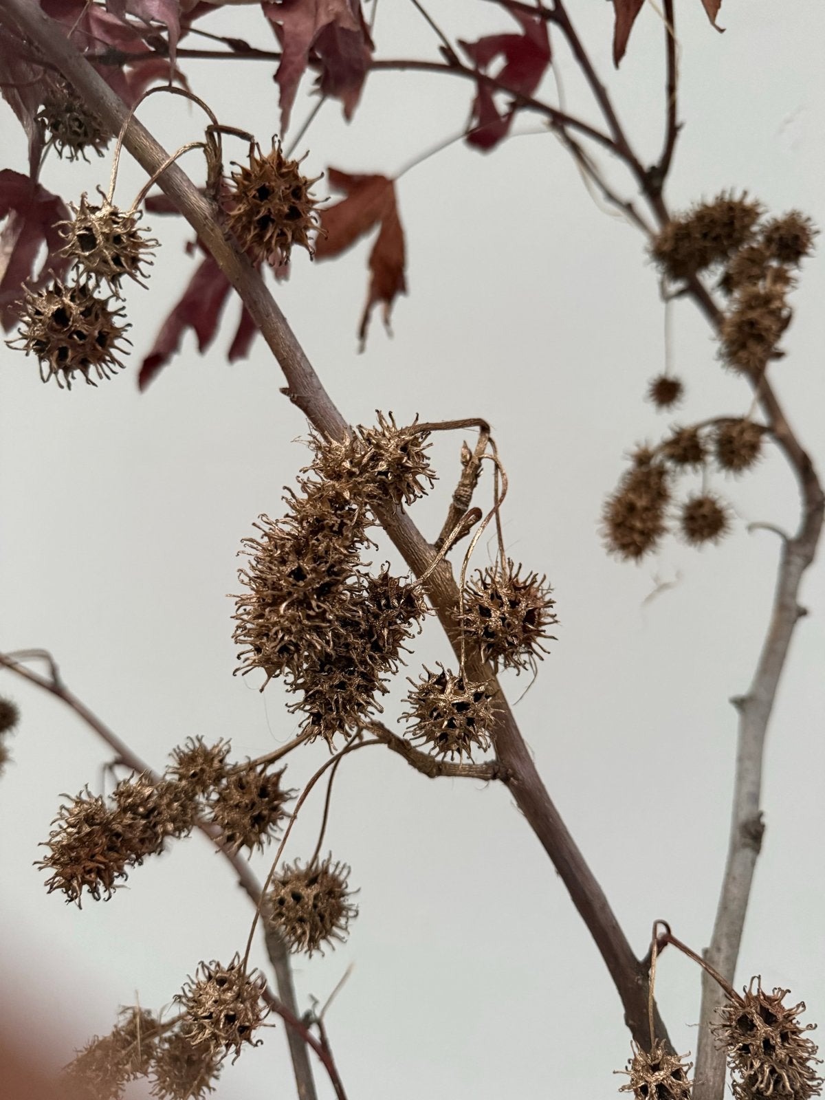 Decoratieve tak met gouden elementen - Ikebana stijl, Huis en Inrichting, Ophalen of Verzenden, Gebruikt