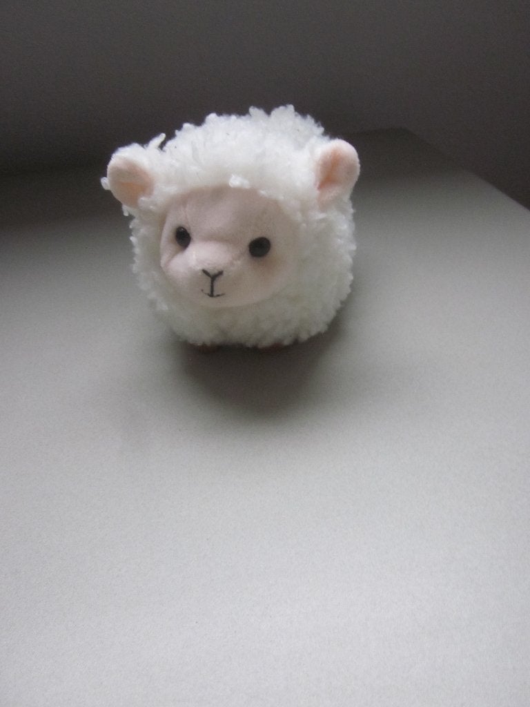 Toys TAKE ME HOME superzacht wit ruwharig pluche schaap, Overige merken, Overige karakters, Overige typen, Nieuw