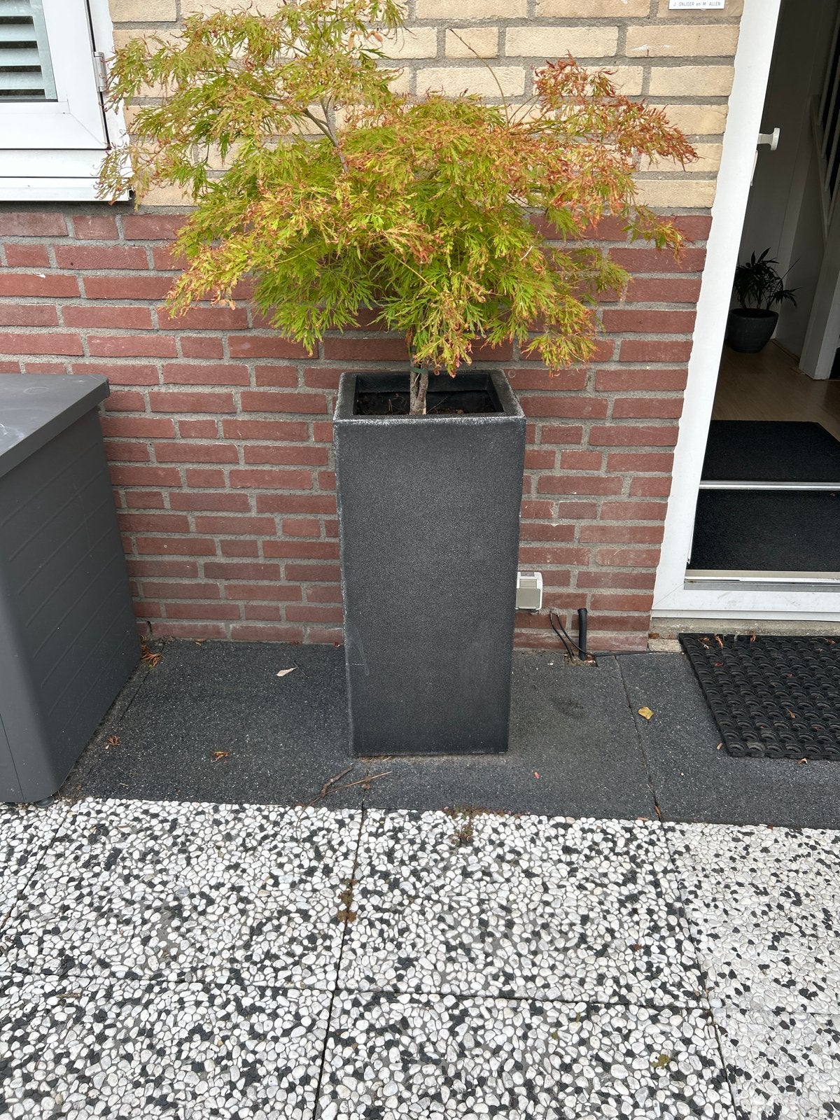 2x Hoge bloempotten -sierpotten, Ophalen, Gebruikt, Balkon, Minder dan 60 cm