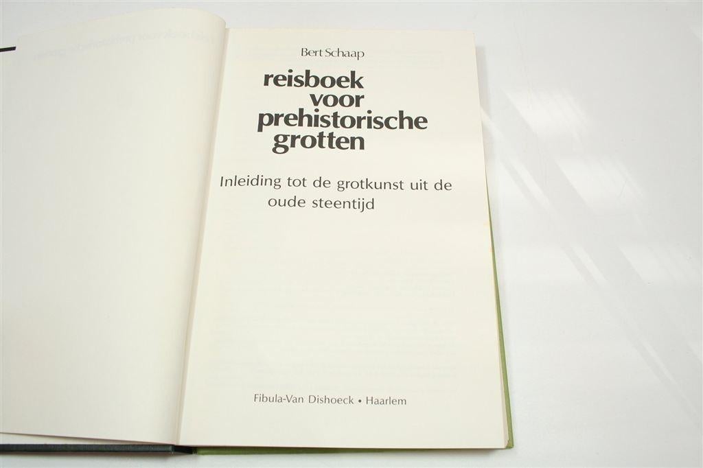 Reisboek Prehistorische Grotten — Grotkunst Steentijd, Boeken, Ophalen of Verzenden, Gelezen, Europa