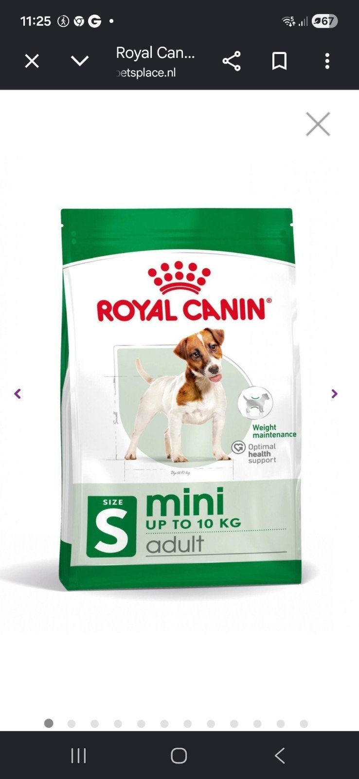 Royal Canin 2x 8 kg, Dieren en Toebehoren, Dierenvoeding, Ophalen, Hond