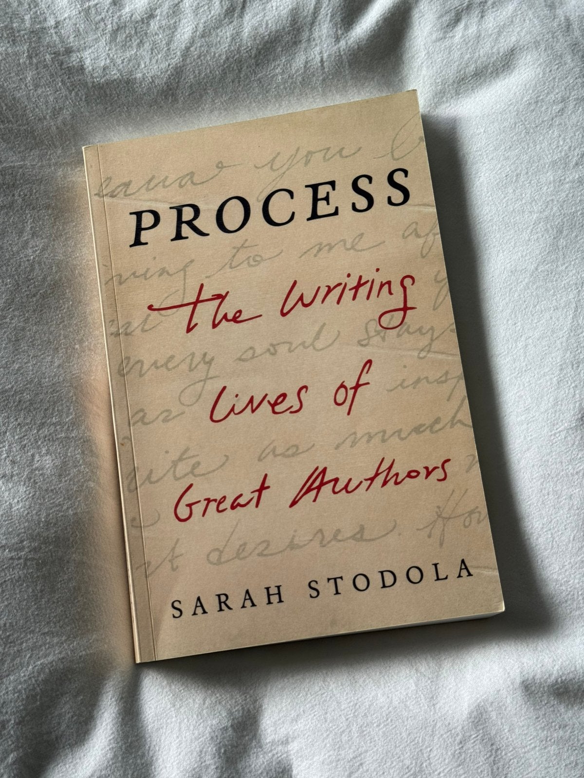 Process by Sarah Stodola | Writing, Ophalen of Verzenden, Gelezen