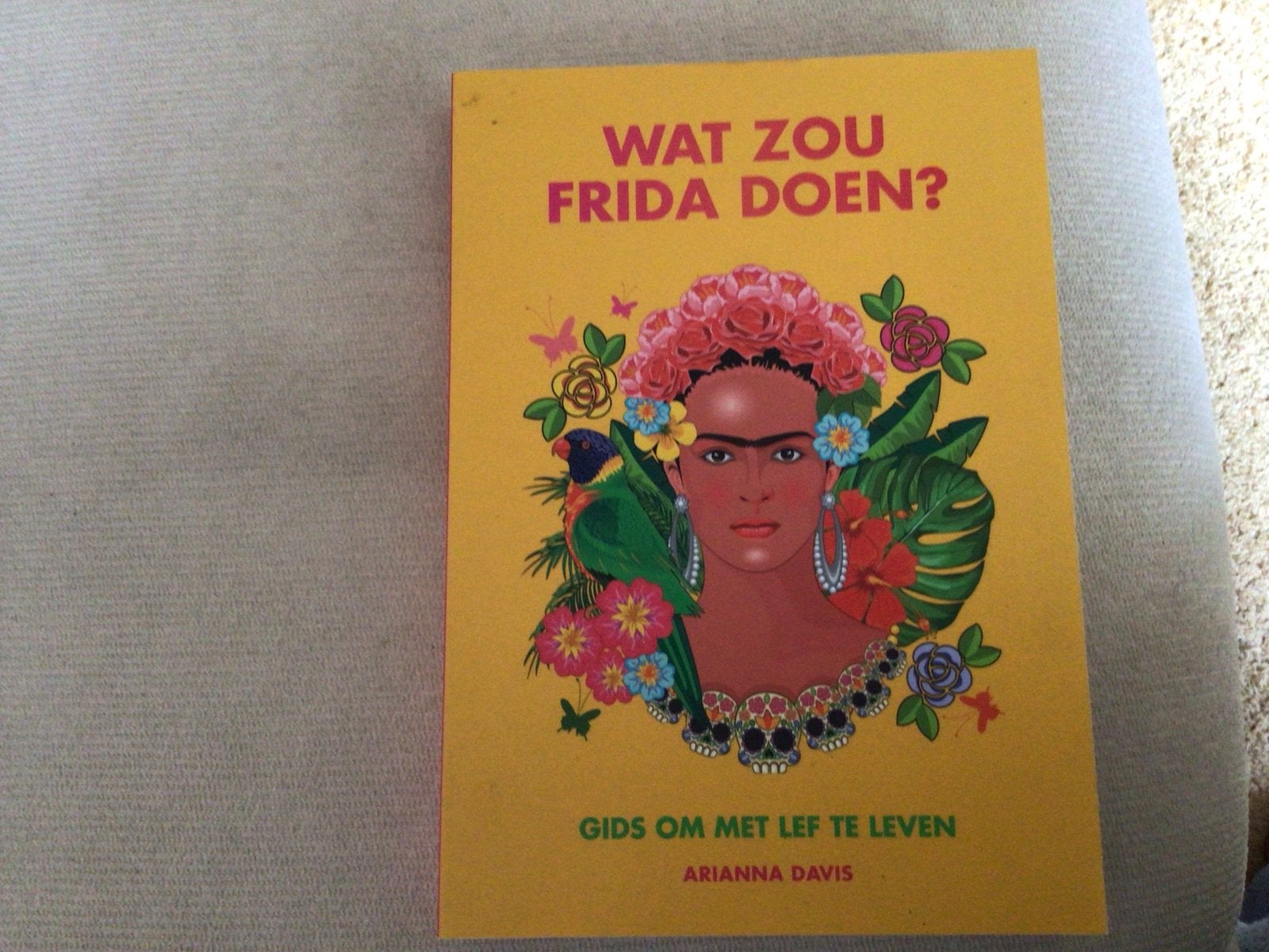 Wat zou Frida doen? Gids om met lef te leven, Boeken, Ophalen of Verzenden, Zo goed als nieuw, Amerika