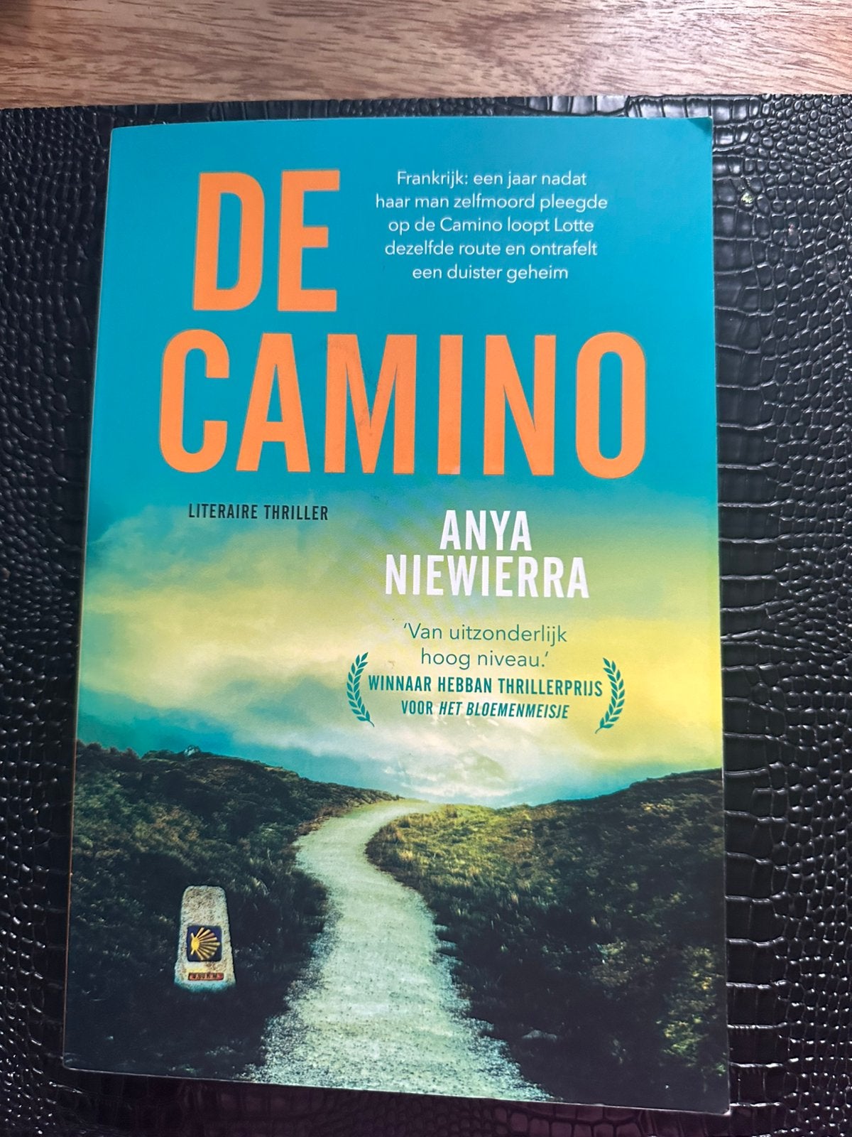 T.k De Camino geschreven door Anya Niewierra, Boeken, Thrillers, Ophalen of Verzenden, Zo goed als nieuw