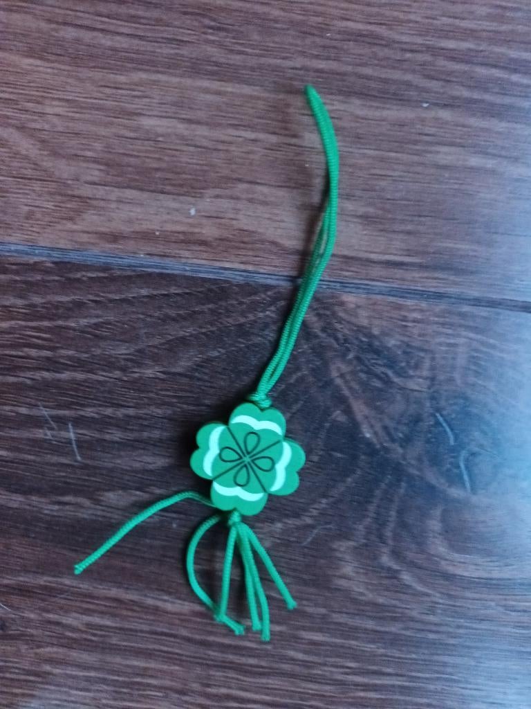 Houten groene hanger klavertje vier geluk gelukshanger groen, Overige materialen, Ophalen of Verzenden, Zo goed als nieuw, Bloem of Plant