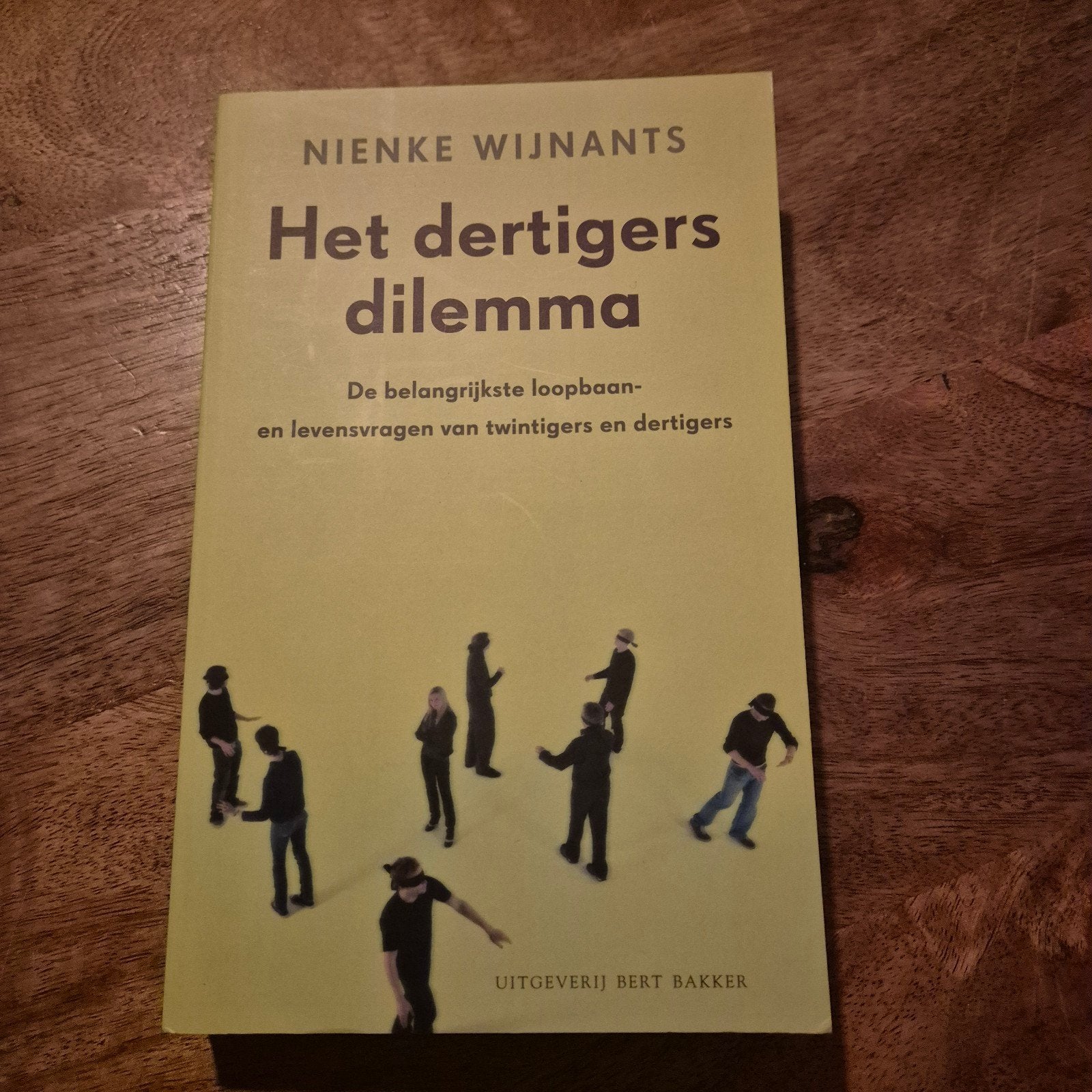 Het dertigers dilemma - Nienke Wijnants, Ophalen of Verzenden, Zo goed als nieuw, Nienke Wijnants, Overige