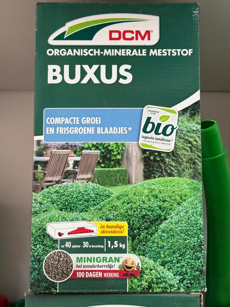 8 x DCM Meststof Buxus , + diverse gratis zie advertentie, Tuin en Terras, Ophalen of Verzenden, Buxus, Haag, Minder dan 100 cm
