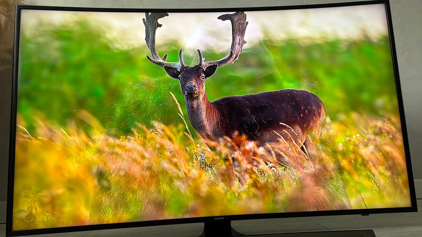 Samsung curved 55 inch smart tv, Ophalen of Verzenden, Zo goed als nieuw, 100 cm of meer, Samsung
