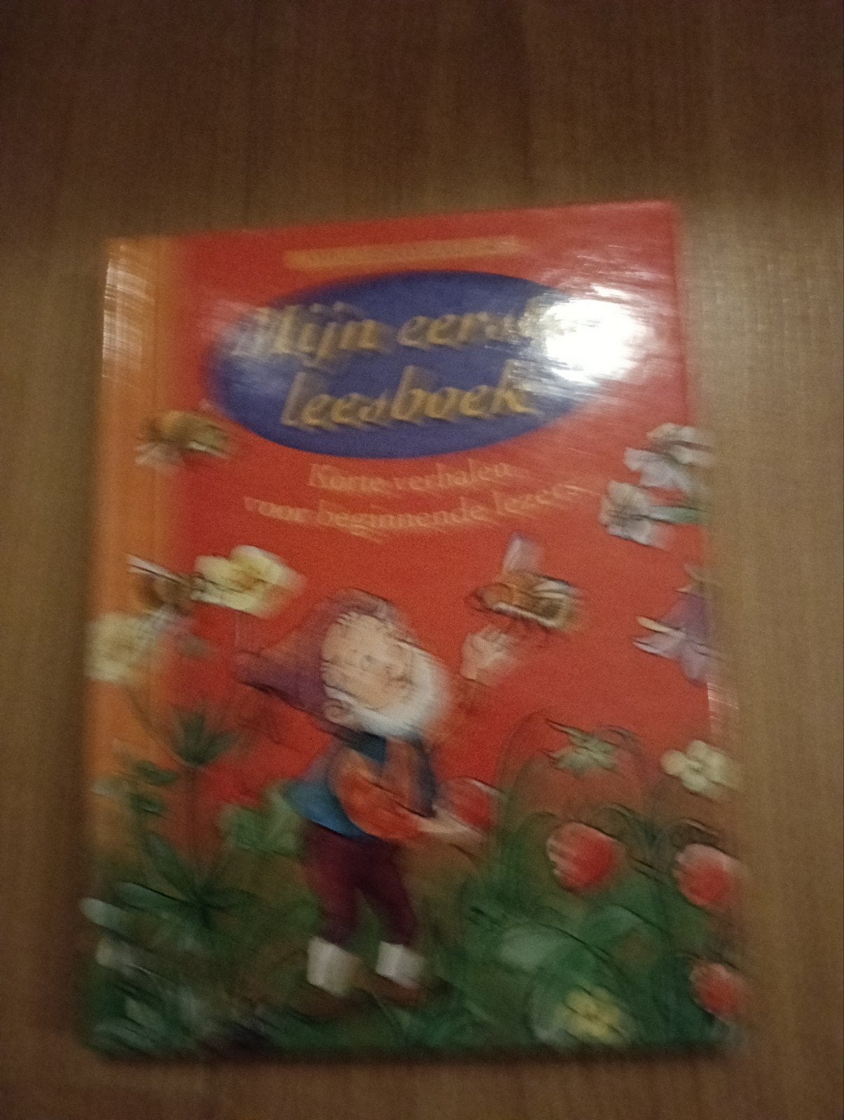 mijn eerste leesboek, Ophalen of Verzenden, Zo goed als nieuw, Non-fictie