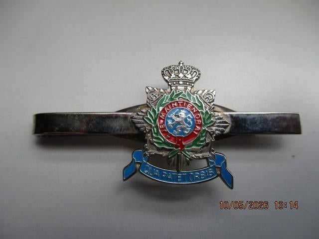 Militaire Dasspeld, Verzamelen, Ophalen of Verzenden, Landmacht, Nederland, Overige typen