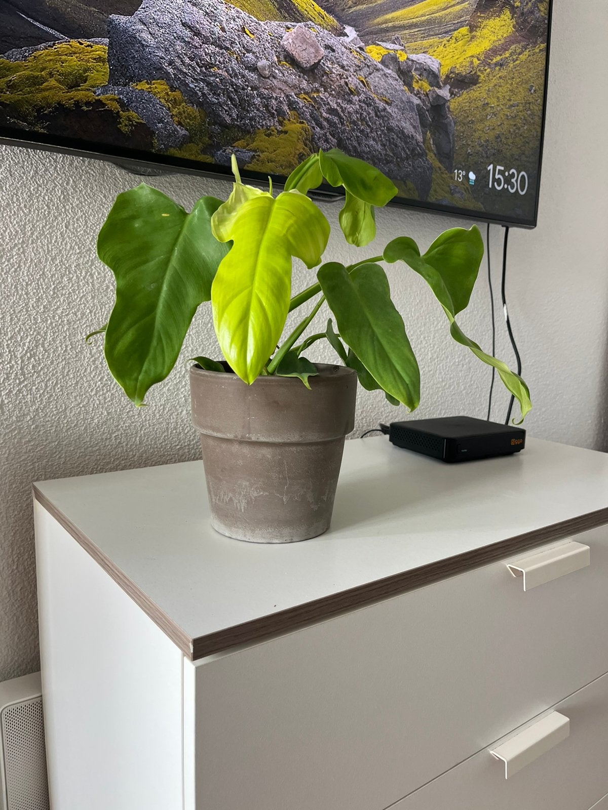 Beige terra cotta pot, Tuin en Terras, Bloempotten, Ophalen, Zo goed als nieuw