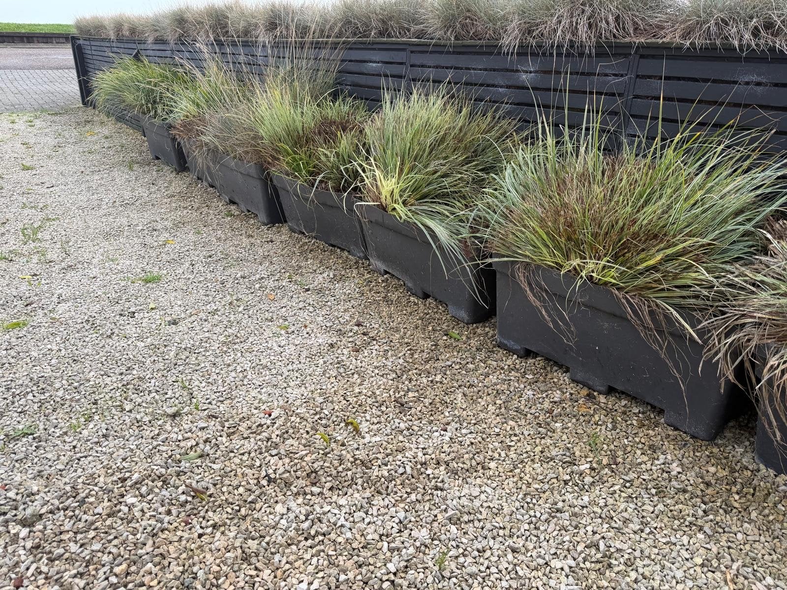 Siergrassen voor tuin of balkon, Ophalen, Kunststof, Gebruikt, 100 cm of meer