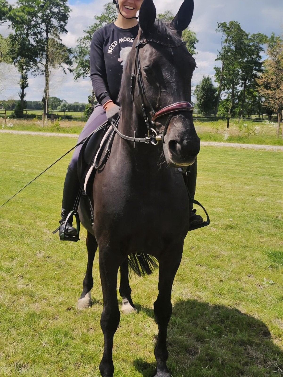Eerlijke leermeester met karakter, Dieren en Toebehoren, Merrie, Met stamboom, L, 7 tot 10 jaar